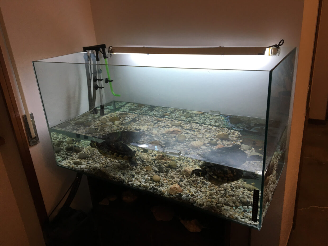Ramp for Turtle – LaserKit.it